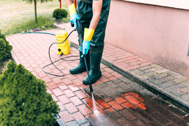 Best Roof Power Washing Services  in Labelle, FL